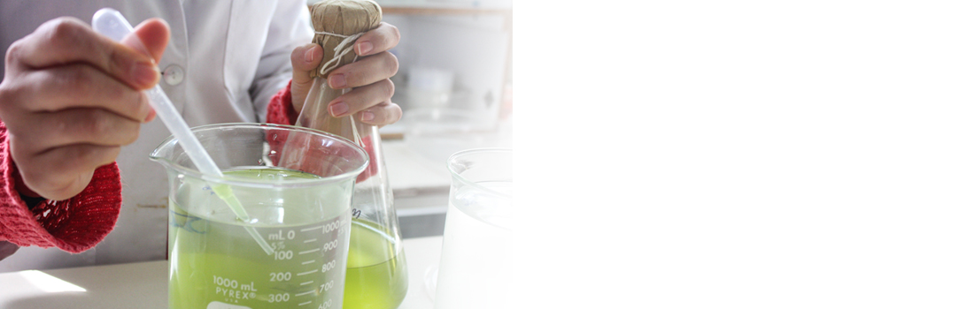 Bienvenidos al  Laboratorio de Ecotoxicología de la Universidad de Concepción